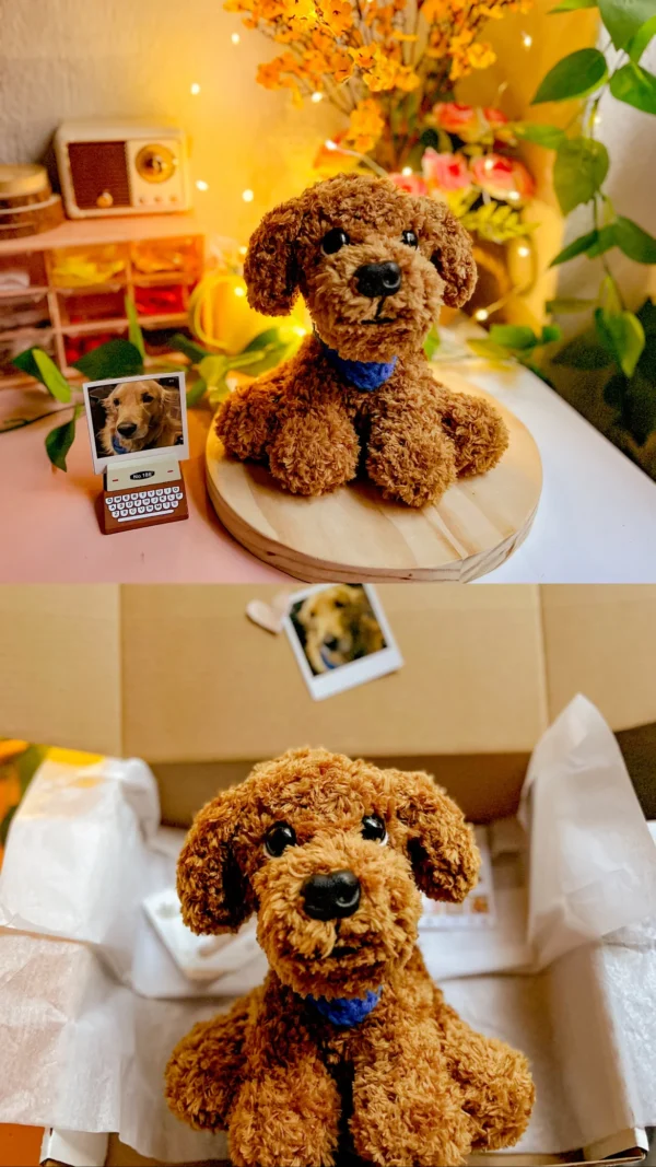 Personaliza Mascotas